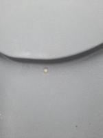 Антон, изображение к комментарию.