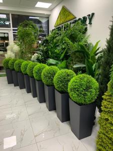 Фотография Greenfactory 5