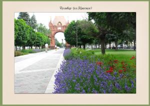 Фотография Тандем-Юг Дизайн 3