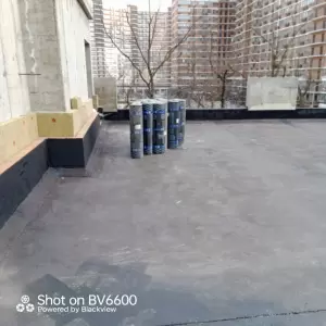 Фотография Алвед 5